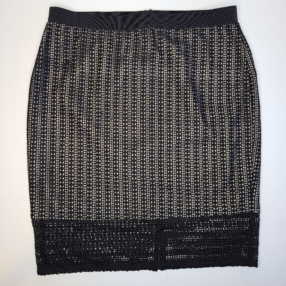 Ann Taylor Lace Overlay Skirt